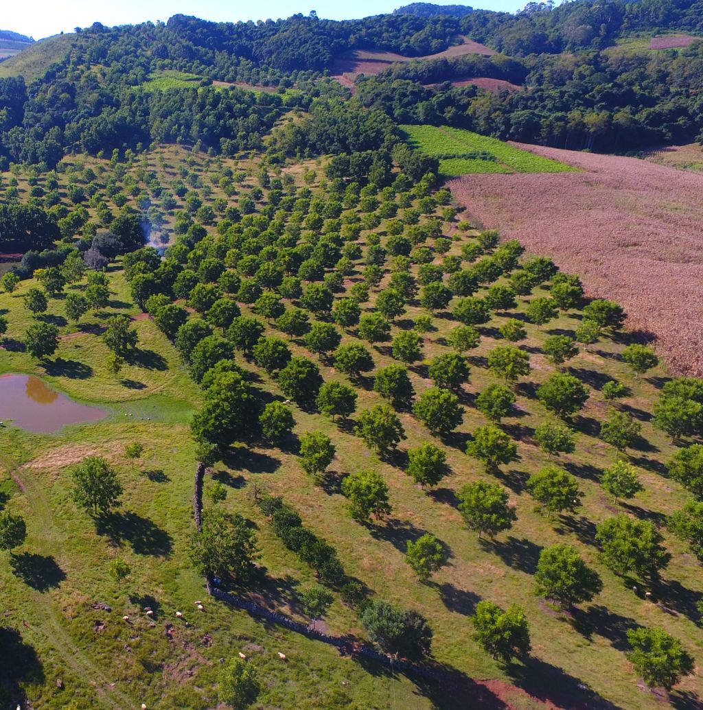 Hills